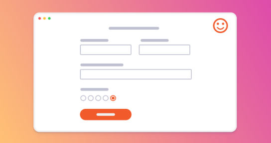 Survey Form